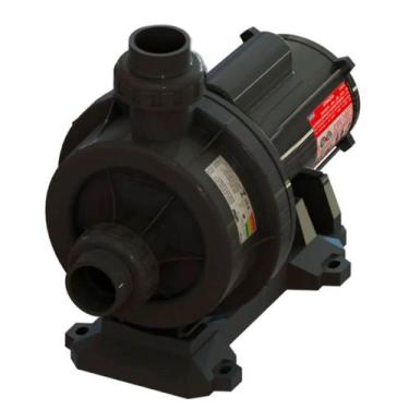 Imagem de Bomba Hidromassagem Sodramar 2CV BHGW200 (Motor WEG), Monofásico