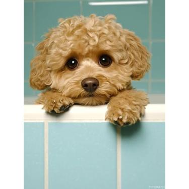 Imagem de TUTUMAY21 Kits de pintura de diamante para banheira Poodle para adultos, 5D engraçado animal pintura diamante kits de artesanato diy presente escritório e decoração de parede para casa presentes 30,5