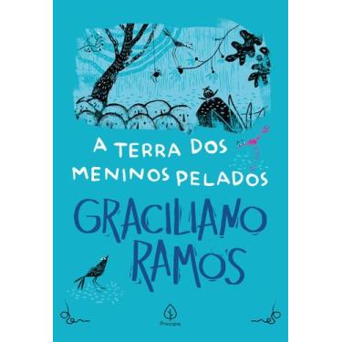Imagem de Livro - A terra dos meninos pelados