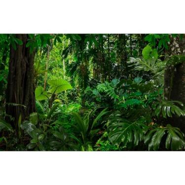 Imagem de Fundo de aquário florestal densamente madeiras em musgo paisagem natural terrário fundo verde exuberante floresta tropical samambaias tanque de peixes árvores enormes fundo de habitat réptil 152 x 61