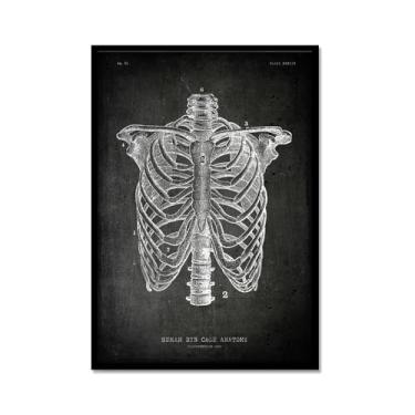 Imagem de Arte vintage de anatomia humana – Pintura em tela de educação médica, esqueleto humano, gaiola, cérebro, coração, anatomia, pôster para decoração de casa de clínica hospitalar (SKU2,8 x 30,5 cm = (20