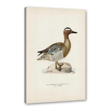 Imagem de Pôster de arte de parede vintage com estampa de pato rústica, pássaros, lago, natureza, retrô, pintura, quadros, decoração de quarto de fazenda (SKU1,8 x 30,5 cm = (20 x 30 cm), emoldurado (tela