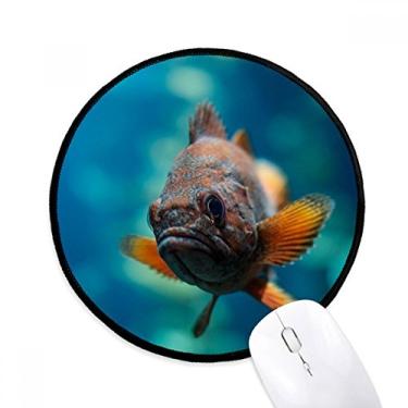 Imagem de DIYthinker Mouse pad pequeno de organismo marinho peixe tropical tapete redondo para computador