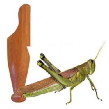 Imagem de Apito Inhambu Açu Modelo 03 + Apito Profissional Grilo