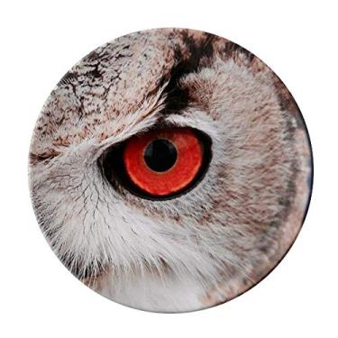 Imagem de Placa decorativa de coruja de animal com organismo terrestre da Pcture de porcelana, louças de jantar