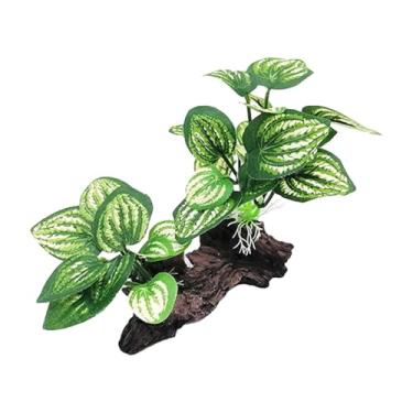 Imagem de Bothyi Planta de seda para aquário, decoração de aquário, enfeites de base estável, decoração para aquário, plantas para aquário, terrário de répteis