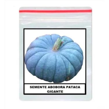 Imagem de 100 Sementes De Abóbora Moranga Pataca - SEEDS