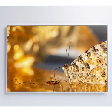 Imagem de Quadro Borboleta Dourada 120x80 Cm Vidro Impresso