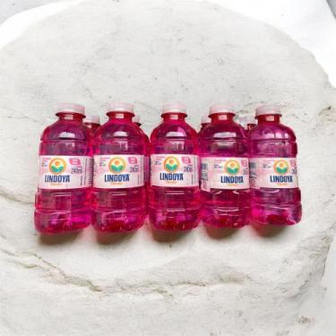 Imagem de Água Lindoya Verão Rosa Natural 240ml x 12 unidades