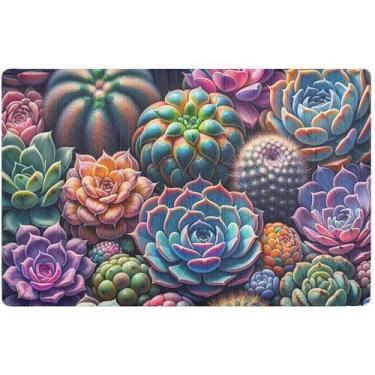 Imagem de TSENQUE Capacho colorido personalizado com suculentas vibrantes, tapetes de entrada fofos para ambientes internos e externos, laváveis, tapetes de entrada internos para casa 81 x 50 cm