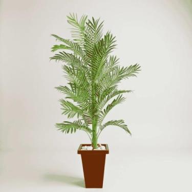 Imagem de Arvore cycas - palmeira toque real - 1,70 mt - 373-8 - LYS DEVOR