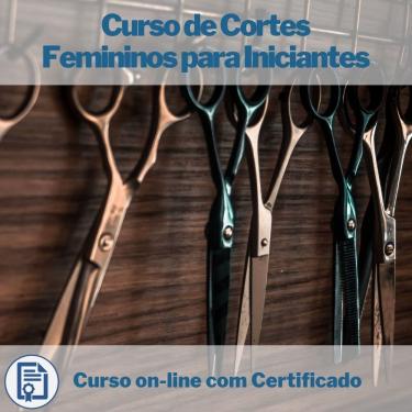 Imagem de Curso on-line de Cortes Femininos para Iniciantes com Certificado