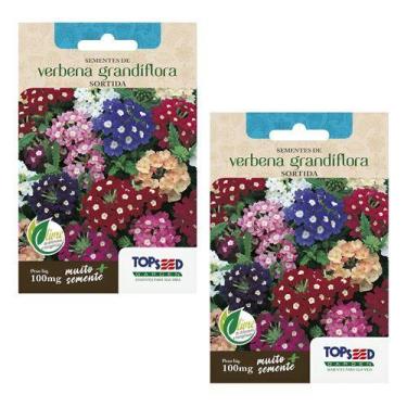 Imagem de 2x Sementes De Verbena Grandiflora Sortida Para Mudas 100mg - Topseed