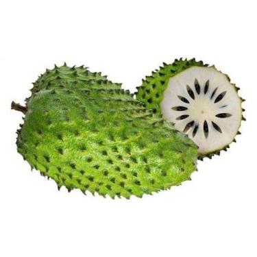 Imagem de Muda Frutífera de Graviola - AgroJardim