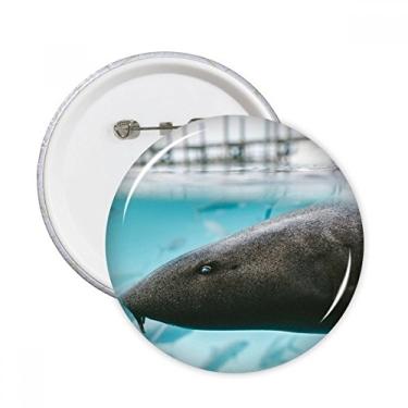 Imagem de Broche redondo de tubarão marinho oceano animal pino emblema botão decoração 5 peças