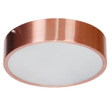 Imagem de Plafon Alumínio Vidro Leitoso 2 Lâmpadas LED 60W