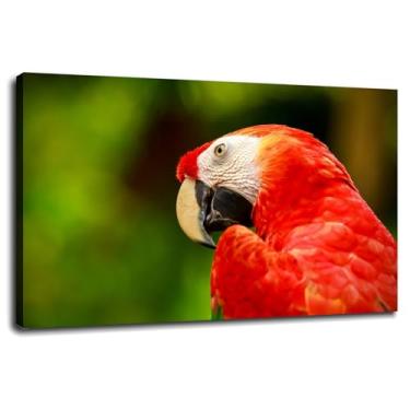 Imagem de Papagaio impressão em tela pássaros araras pôster arte de parede para casa 1 peça decorações com moldura 91.4 cm x 61.0 cm