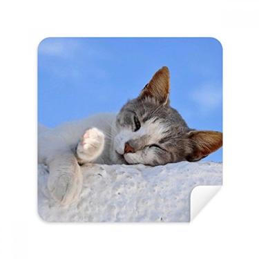 Imagem de Gatinho Gato Relaxar Dormir Animal Adorável Óculos Pano Limpador de Tela Tecido Camurça Pacote com 2