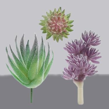 Imagem de Pacote com 3 plantas suculentas artificiais, vegetação falsa realista, sortidas, suculentas duplas, mini arranjos decorativos