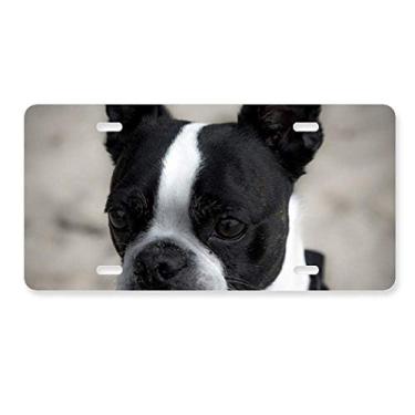 Imagem de DIYthinker Placa de carro Bulldog Pet Animal Dark Picture Decoração de carro Acessório de aço inoxidável