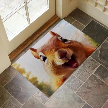 Imagem de VANZEV Tapete de porta interior de esquilo alegre para entrada, 43 x 75 cm, capacho de animal divertido para decoração de casa, tapete antiderrapante para sala de estar, cozinha, quarto, presentes