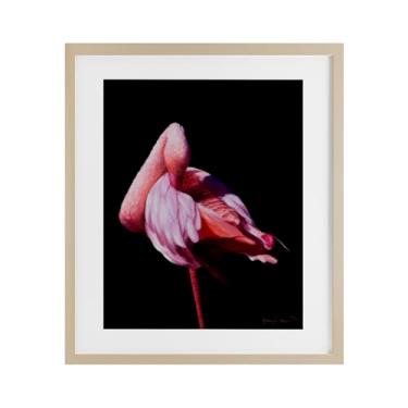 Imagem de Stupell Industries Impressão emoldurada de bétula flamingo em contraste aviário sob vidro, design de James Corwin, 53 x 43 cm