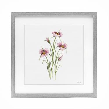 Imagem de Stupell Industries Impressão emoldurada cinza botânica fúcsia mariposa sob vidro, design de Cindy Jacobs, 40,6 x 40,6 cm