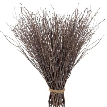 Imagem de Koceko 60 Unidades de Galhos de Bétula Secos Reais - Ramos de Bétula Decorativos Naturais de 17 ”Para Vasos de Páscoa, Palitos de Bétula para Faça Você Mesmo, Peça Central, Arranjo Floral, Guirlanda d