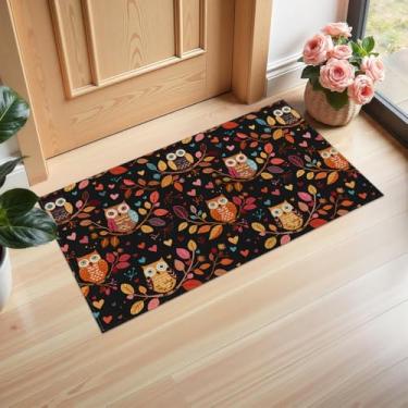 Imagem de Ti Caldi Tapete de porta interior de coruja colorida, design divertido de 29,5 × 17 polegadas, capachos de tecido não tecido para entrada, cozinha, quarto, tapete antiderrapante não tecido para
