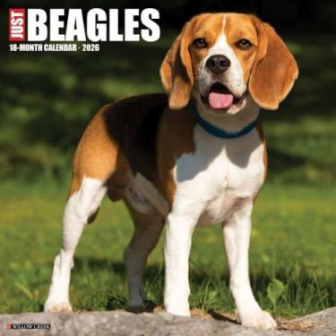 Imagem de Calendário de parede Beagles 2026 30.5 cm x 30.5 cm