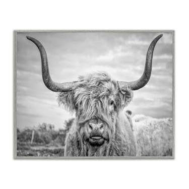Imagem de Stupell Industries Arte de parede emoldurada com fotografia de vaca em preto e branco, 28 x 35 cm, design do artista Joe Reynolds