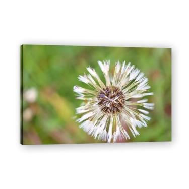 Imagem de Pintura em tela de parede com sementes esparsas impressão de pôster para sala de estar quarto cozinha escritório 75 x 50 cm