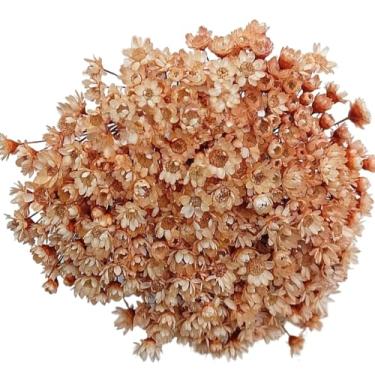 Imagem de Buquê de 300 Flores Secas Sempre Viva Mosquitinho – Mini Florzinhas Naturais para Arranjos e Decoração(Ocre)