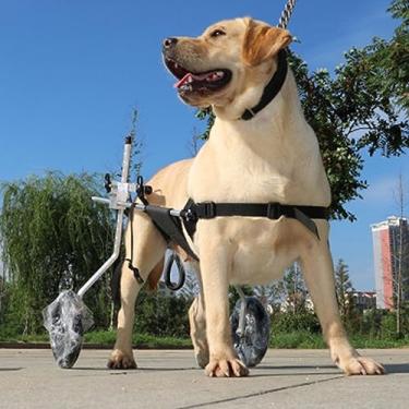 Imagem de Cadeira de rodas para cães médios/grandes - Carrinho ajustável para pernas traseiras paralisadas, suporte de recuperação, suportes de perna de cachorro, andador tamanho XXL, auxílio fácil de