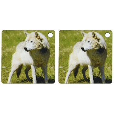 Imagem de 3dRose Lobo cinza, Lobo Timber World, Wyoming. EUA - US51 POX0033 - Pete Oxford - Chaveiros, 5,7 x 11,4 cm, conjunto de 2 (kc_97513_1)