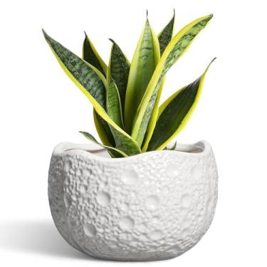 Imagem de Thirtypot Vaso de cerâmica – Vaso redondo de 20 cm com orifício de drenagem, vasos decorativos para plantas internas e externas, vasos de flores exclusivos modernos, decoração de sala de estar