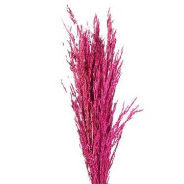 Imagem de Planta Seca Capim Arroz do Cerrado Pink - Pense Flores