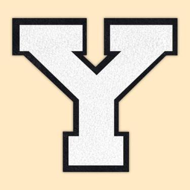 Imagem de QianSiLi Remendos de letras universitárias de chenille branco de 11 cm, letras grandes para jaquetas Letterman, moletons com capuz, mochilas, coletes, roupas, adesivos individuais de letra Y