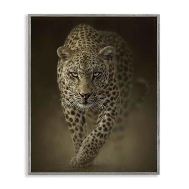 Imagem de Stupell Industries Design artístico giclée emoldurado cinza Savage Leopard Predator por Collin Bogle, 50 x 40 cm