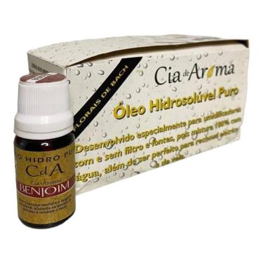 Imagem de Kit Box 10 Óleos Hidrossolúvel 10Ml - Escolha O Seu Aroma