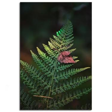 Imagem de Pôster de samambaia natureza, impressões em tela, arte de parede verde para casa 1 painéis decorações não ramificadas 30,5 x 20,3 cm