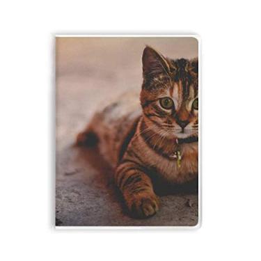 Imagem de Caderno com fotografia de gato silencioso, capa de goma para diário