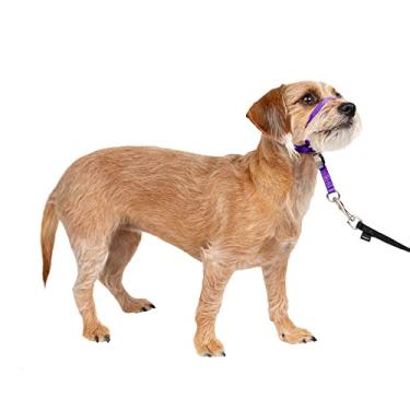 Imagem de PetSafe Coleira de cabeça para líder suave, coleira para cães que não puxam, pequeno, roxo escuro