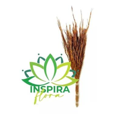 Imagem de Buque Capim Seco Para Arranjo Sala Clinica Consultório Cas - FLORA FUL