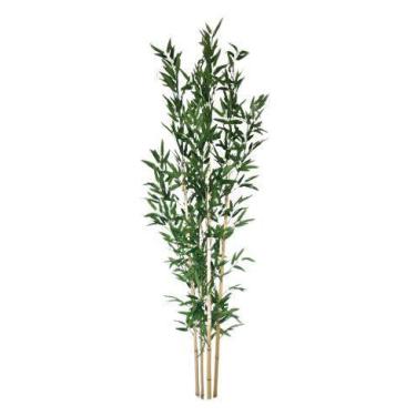 Imagem de Planta Árvore Artificial Real Toque Bambu 2,11M - FLORESCER DECOR