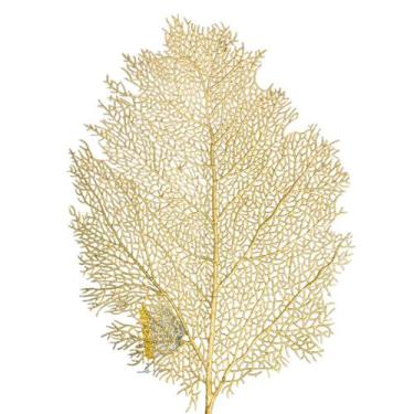 Imagem de Lugar Jogo Americano Folha Mesa Posta Jantar Sousplat Cozinha - Mimo S