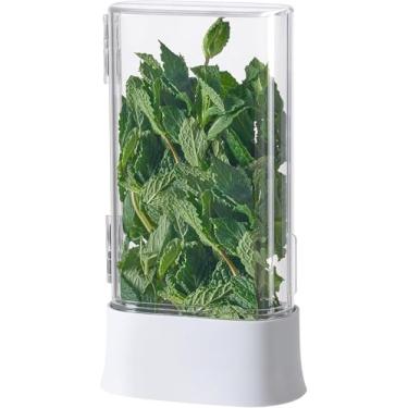 Imagem de vacane Green Saver Herb Keeper, Recipiente Para Armazenamento Em Geladeira Coentro, Aspargos E Ervas Frescas, Lavável Na Máquina De Lavar Louça, Prolonga O Frescor Por 10 Dias