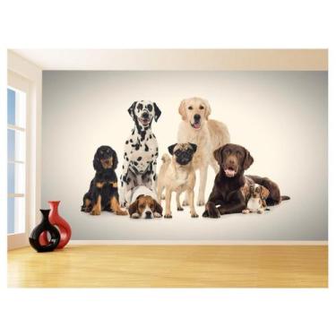 Imagem de Papel De Parede 3D Animais Cão Gato Petshop 3,5M Anm419 - Você Decora