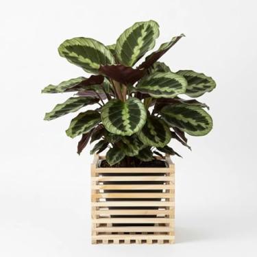 Imagem de Cachepô de Madeira (Estilo Caixote) - 30x30x27,5cm - Decoração Jardim Vasos Plantas