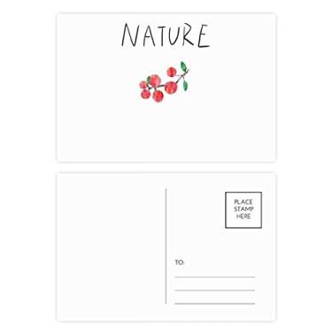 Imagem de Conjunto de cartão postal de pintura de planta de frutas vermelhas Cartão de felicitações de aniversário